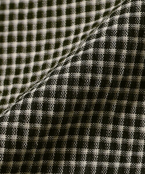 Ray BEAMS(レイビームス)の「サッカー チェック フリル ノースリーブ(シャツ/ブラウス・レディース・ブラック/グリーン・ONE SIZE)」の22枚目の写真