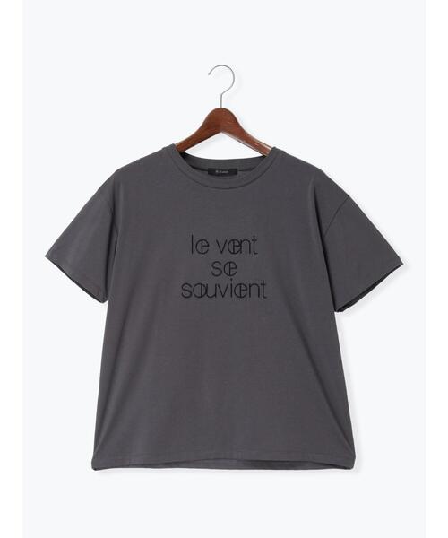 Te chichi(テチチ)の「【接触冷感】ステッチ刺繍ロゴレギュラーTシャツ(Tシャツ/カットソー・レディース・チャコールグレー/オフホワイト/レッド・F)」の11枚目の写真