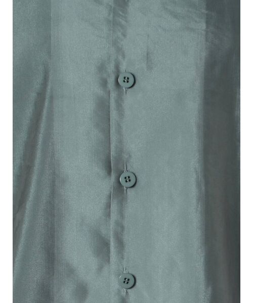 EMODA(エモダ)の「セミシアーシャツ(シャツ/ブラウス・レディース・ブラック/ピンク/ブルー/マスタード・FREE)」の10枚目の写真