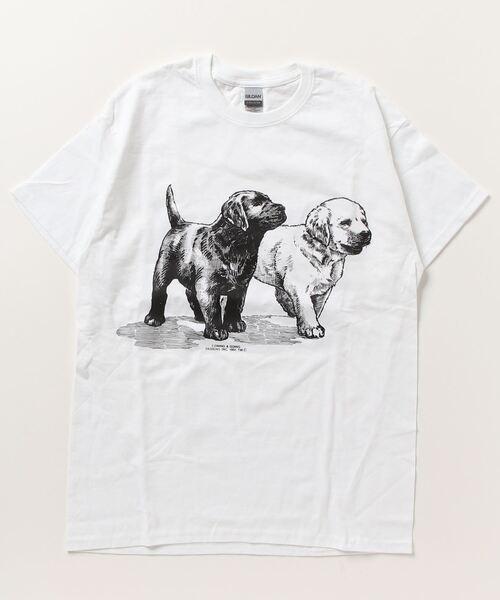 INNOCENT(イノセント)の「【T21】【COMING&GOING DESIGNS/カミングアンドゴーイングデザインズ】 PRINT T-SHIRTS(Tシャツ/カットソー・レディース・その他2/その他3/その他6・MEDIUM/X-LARGE)」の3枚目の写真