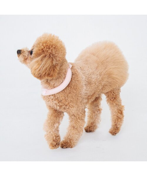 BREEZE（ブリーズ）の「ペット ICE RING ボタン付き（XXS）（その他ペットグッズ・キッズ・カーキ/サックスブルー/ライトグレー/ピンク・XX-SMALL）」の6枚目の写真