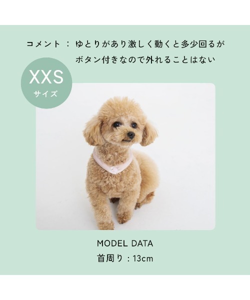 BREEZE（ブリーズ）の「ペット ICE RING ボタン付き（XXS）（その他ペットグッズ・キッズ・カーキ/サックスブルー/ライトグレー/ピンク・XX-SMALL）」の20枚目の写真