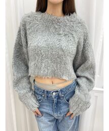 EVRIS | カラーシャギークロップドニットトップス(ニット/セーター)