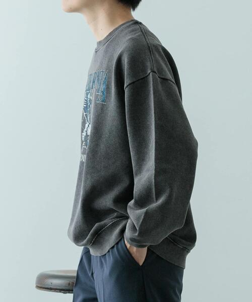 ITEMS URBANRESEARCH(アイテムズ アーバンリサーチ)の「パウダー加工 クルーネックスウェットプルオーバー(スウェット・メンズ・その他1/その他2/その他3・MEDIUM/LARGE)」の21枚目の写真