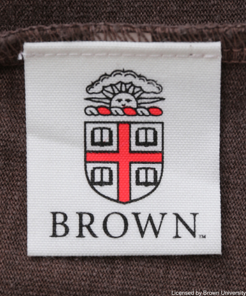 plage(プラージュ)の「BROWN raglan Tシャツ(Tシャツ/カットソー・レディース・ブラウン・FREE)」の6枚目の写真
