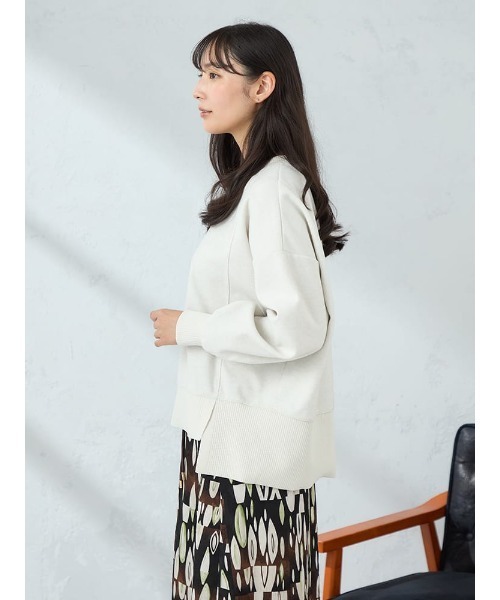 HARUYAMA(ハルヤマ)の「【WEB限定】圧縮起毛サイド切替プルオーバー FURRY(Tシャツ/カットソー・レディース・ブラック/ブラウン/グレー/オフホワイト・F)」の6枚目の写真