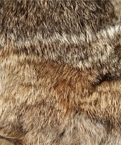 green label relaxing（グリーンレーベルリラクシング）の「GC RABBIT FUR ベスト（ベスト・レディース・ライトグレー/ベージュ・フリー）」の6枚目の写真