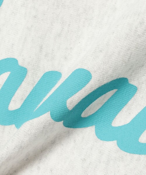 Champion（チャンピオン）の「Champion × BEAMS / 別注 シティ ロングスリーブ Tシャツ（Tシャツ/カットソー・メンズ・ホワイト/ホワイト系その他/ロイヤルブルー・M/L/XL）」の9枚目の写真