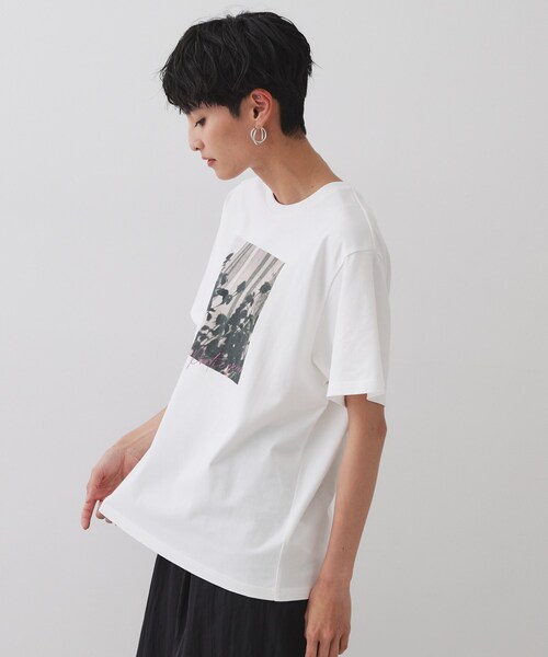 OPAQUE.CLIP（オペークドットクリップ）の「◆フォトプリントTシャツ【洗濯機洗い可】（Tシャツ/カットソー・レディース・ホワイト/ホワイト系1/ライトベージュ・40/38）」の10枚目の写真
