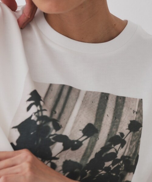 OPAQUE.CLIP（オペークドットクリップ）の「◆フォトプリントTシャツ【洗濯機洗い可】（Tシャツ/カットソー・レディース・ホワイト/ホワイト系1/ライトベージュ・40/38）」の12枚目の写真