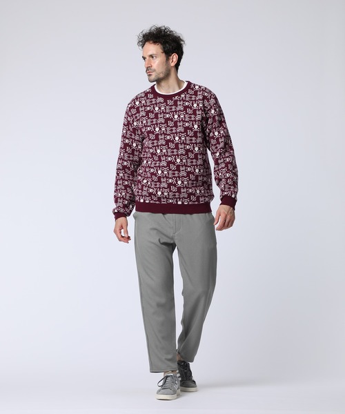 Psycho Bunny（サイコバニー）の「オリジナルジャガード クルーネック総柄ニット（ニット/セーター・メンズ・ライトグレー/ネイビー/バーガンディー・MEDIUM/X-LARGE/LARGE）」の14枚目の写真