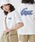 LACOSTEiRXej́uyICzLACOSTE I[o[TCY obN vg TVciTVc/Jbg\[jvbzCg