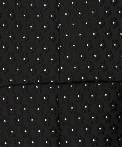 MICO COULIER（ミコクリエ）の「《オケージョン対応》小花ラメジャガードワンピース（ワンピース・レディース・ブラック系その他・38）」の11枚目の写真