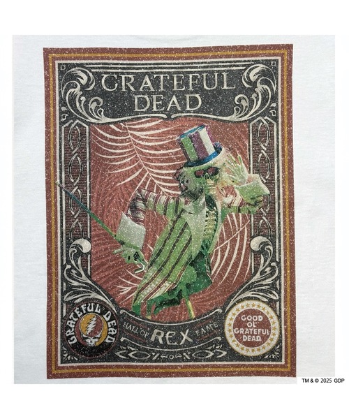 Grateful Dead(グレイトフルデッド)の「RIVER SIDE CULTURE/GRATEFUL DEAD×RSC(グレイトフルデッド) SKULL ROCK Tシャツ (M4)(Tシャツ/カットソー・メンズ・チャコールグレー/ホワイト・X-LARGE/LARGE/MEDIUM)」の14枚目の写真