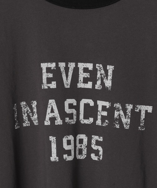 LEPSIM（レプシィム）の「ヴィンテージリンガーT　571246（Tシャツ/カットソー・レディース・ベージュ/チャコールグレー/ピンク・FREE）」の17枚目の写真