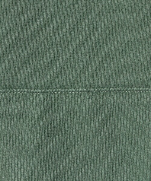 POLO RALPH LAUREN(ポロ ラルフ ローレン)の「【販路限定モデル】<POLO RALPH LAUREN>ハーフ ジップ スウェット(スウェット・メンズ・ケリーグリーン/ネイビー/ライトピンク・L)」の10枚目の写真