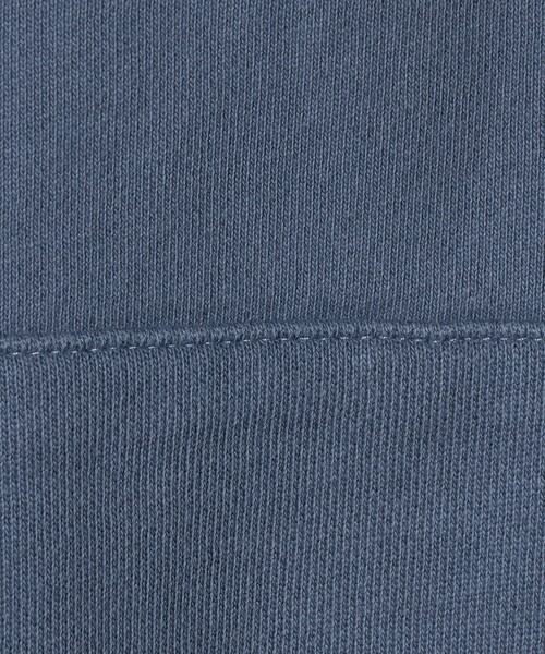 POLO RALPH LAUREN(ポロ ラルフ ローレン)の「【販路限定モデル】<POLO RALPH LAUREN>ハーフ ジップ スウェット(スウェット・メンズ・ケリーグリーン/ネイビー/ライトピンク・L)」の14枚目の写真