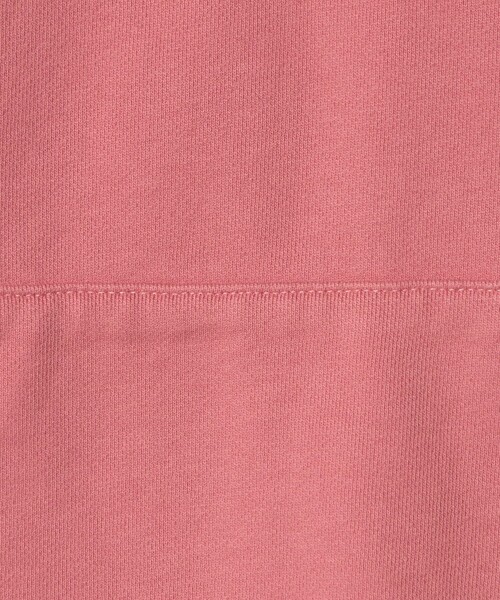 POLO RALPH LAUREN(ポロ ラルフ ローレン)の「【販路限定モデル】<POLO RALPH LAUREN>ハーフ ジップ スウェット(スウェット・メンズ・ケリーグリーン/ネイビー/ライトピンク・L)」の18枚目の写真
