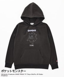 ポケットモンスター（ポケットモンスター）の「ゲンガー VS ニドリーノ