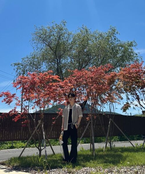 DNSR（ディーエヌエスアール）の「ツイルフレアスラックスブラック（スラックス・メンズ・その他・SMALL/MEDIUM/X-LARGE）」の7枚目の写真