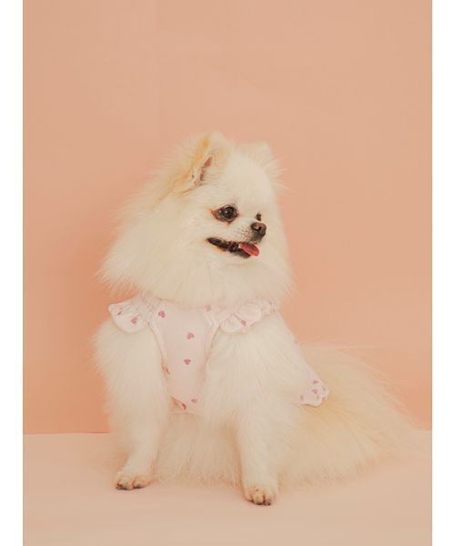 gelato pique(ジェラートピケ)の「【CAT&DOG】ハート柄フリルワンピース(リード/ハーネス/首輪・レディース・アイボリー/ピンク・S/M/L)」の17枚目の写真