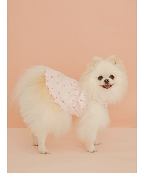 gelato pique(ジェラートピケ)の「【CAT&DOG】ハート柄フリルワンピース(リード/ハーネス/首輪・レディース・アイボリー/ピンク・S/M/L)」の19枚目の写真