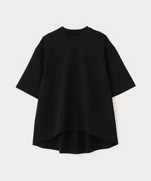 LE PHIL(ルフィル) 長袖カットソー サイズF レディース美品  - 黒 ハイネック LE PHIL(ル フィル)｜ハイネッククロプドプルオーバー/ブラック の通販