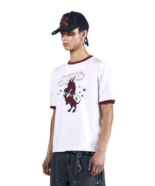 AAKAM（アーカム）の「Bad Horse Ringer Top (White)（Tシャツ/カットソー・レディース・その他・2/1/3）」の17枚目の写真