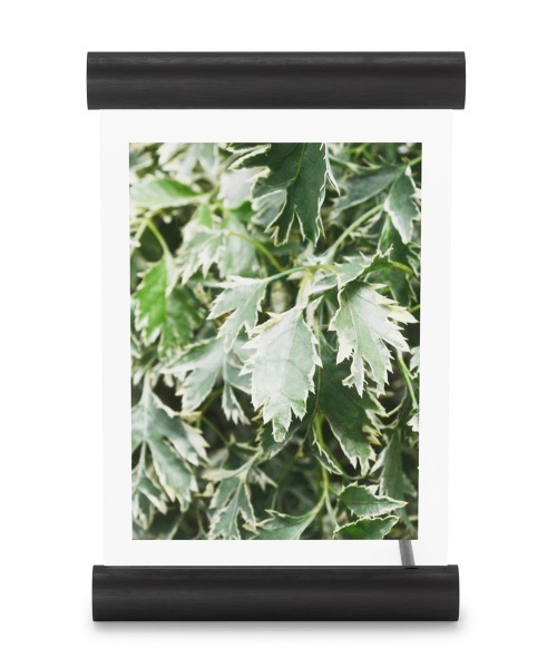 Umbra（アンブラ）の「umbra/スクロール フォトフレーム 14×18（フォトフレーム・レディース・ブラック/ブラウン/ライトブラウン・ONE SIZE）」の13枚目の写真