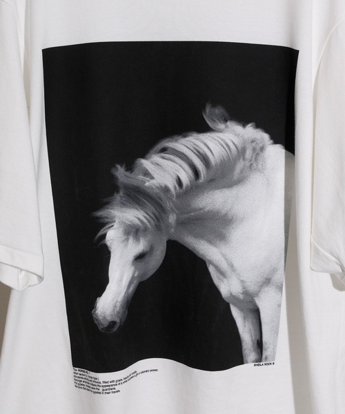 JANESMITH（ジェーンスミス）の「JANESMITH ジェーンスミス / HORSE No.1 SHORT SLEEVE T-SHIRT グラフィックプリントビッグシルエットTシャツ / 22WCT-#452S-SL（Tシャツ/カットソー・レディース・ホワイト/ブラック・SMALL/MEDIUM/LARGE/X-LARGE）」の6枚目の写真