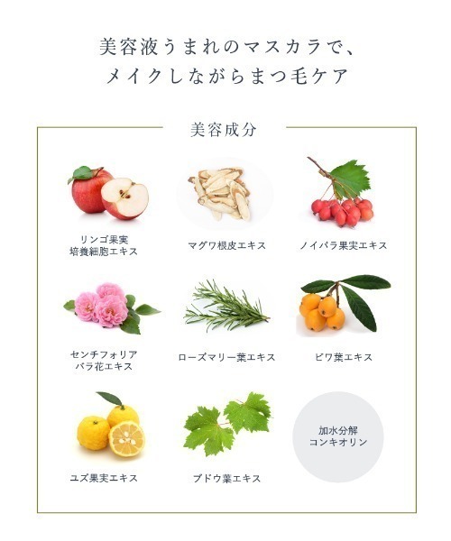 Borica（ボリカ）の「Borica 美容液カラーマスカラ BOXセット（マスカラ・レディース・その他・FREE）」の6枚目の写真