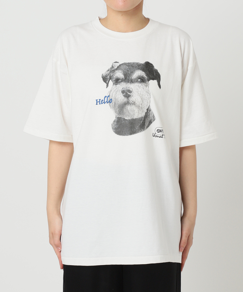 OUTDOOR PRODUCTS（アウトドアプロダクツ）の「SCREEN STARS ex DOG Tee (ミニチュア シュナウザー)（Tシャツ/カットソー・レディース・ホワイト系その他・LARGE/MEDIUM）」の16枚目の写真