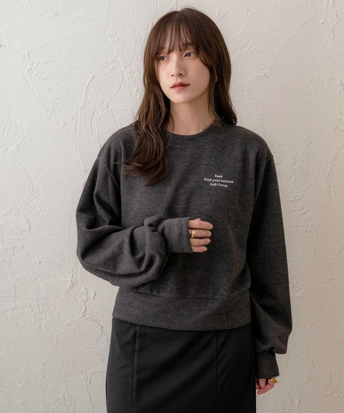 NOAHL(ノアル)の「【NOAHL】ニットソー刺繍プルオーバー(ニット/セーター・レディース・アイボリー/ブラウン/チャコール・FREE)」の2枚目の写真