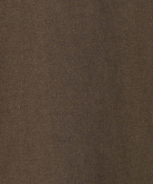 DISCUS(ディスカス)の「【DISCUS別注】 衿パイルリンガーTシャツ(Tシャツ/カットソー・レディース・ダークブラウン/ブラック/ホワイト・FREE)」の22枚目の写真