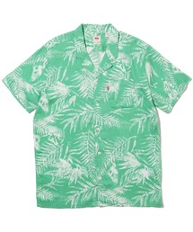 Levi's([oCX)̃L[oVc ARCHIE CREME DE MENTHE(Vc/uEX)