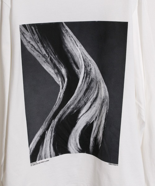 JANESMITH(ジェーンスミス)の「JANESMITH ジェーンスミス / SEED POD AND DRIDE FLOWER LONG SLEEVE T-SHIRT グラフィックプリントビッグシルエットロンT / 22WCT-#453S-SL(Tシャツ/カットソー・レディース・ホワイト/ブラック・SMALL/MEDIUM/LARGE/X-LARGE)」の13枚目の写真