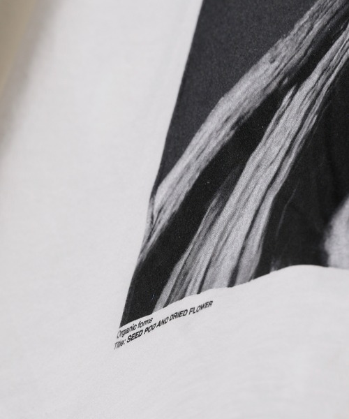 JANESMITH(ジェーンスミス)の「JANESMITH ジェーンスミス / SEED POD AND DRIDE FLOWER LONG SLEEVE T-SHIRT グラフィックプリントビッグシルエットロンT / 22WCT-#453S-SL(Tシャツ/カットソー・レディース・ホワイト/ブラック・SMALL/MEDIUM/LARGE/X-LARGE)」の9枚目の写真