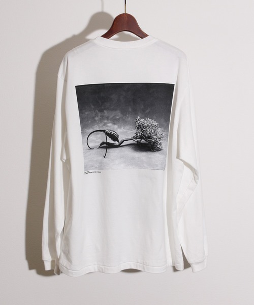 JANESMITH(ジェーンスミス)の「JANESMITH ジェーンスミス / SEED POD AND DRIDE FLOWER LONG SLEEVE T-SHIRT グラフィックプリントビッグシルエットロンT / 22WCT-#453S-SL(Tシャツ/カットソー・レディース・ホワイト/ブラック・SMALL/MEDIUM/LARGE/X-LARGE)」の10枚目の写真