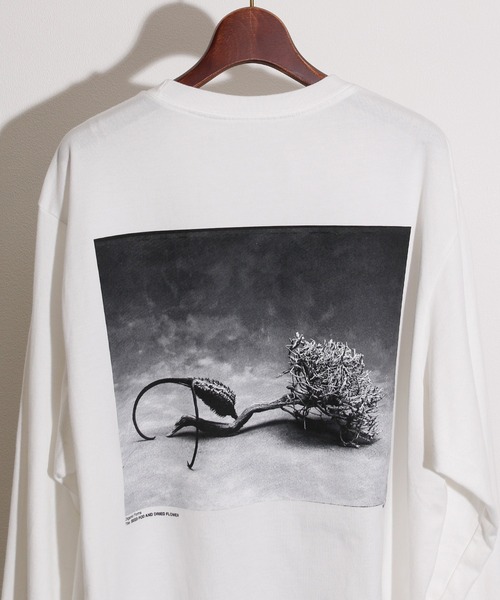 JANESMITH(ジェーンスミス)の「JANESMITH ジェーンスミス / SEED POD AND DRIDE FLOWER LONG SLEEVE T-SHIRT グラフィックプリントビッグシルエットロンT / 22WCT-#453S-SL(Tシャツ/カットソー・レディース・ホワイト/ブラック・SMALL/MEDIUM/LARGE/X-LARGE)」の8枚目の写真