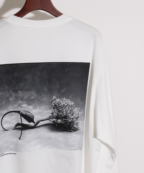 JANESMITH(ジェーンスミス)の「JANESMITH ジェーンスミス / SEED POD AND DRIDE FLOWER LONG SLEEVE T-SHIRT グラフィックプリントビッグシルエットロンT / 22WCT-#453S-SL(Tシャツ/カットソー・レディース・ホワイト/ブラック・SMALL/MEDIUM/LARGE/X-LARGE)」の3枚目の写真