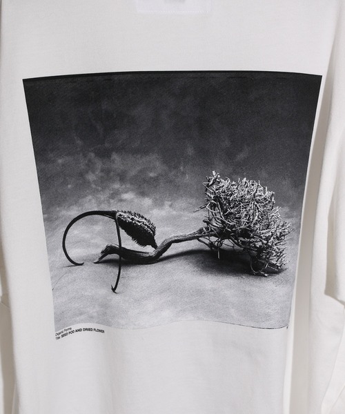 JANESMITH(ジェーンスミス)の「JANESMITH ジェーンスミス / SEED POD AND DRIDE FLOWER LONG SLEEVE T-SHIRT グラフィックプリントビッグシルエットロンT / 22WCT-#453S-SL(Tシャツ/カットソー・レディース・ホワイト/ブラック・SMALL/MEDIUM/LARGE/X-LARGE)」の5枚目の写真