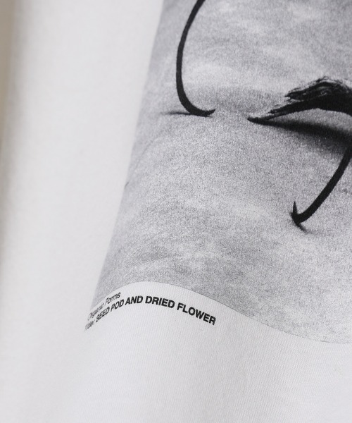 JANESMITH(ジェーンスミス)の「JANESMITH ジェーンスミス / SEED POD AND DRIDE FLOWER LONG SLEEVE T-SHIRT グラフィックプリントビッグシルエットロンT / 22WCT-#453S-SL(Tシャツ/カットソー・レディース・ホワイト/ブラック・SMALL/MEDIUM/LARGE/X-LARGE)」の7枚目の写真