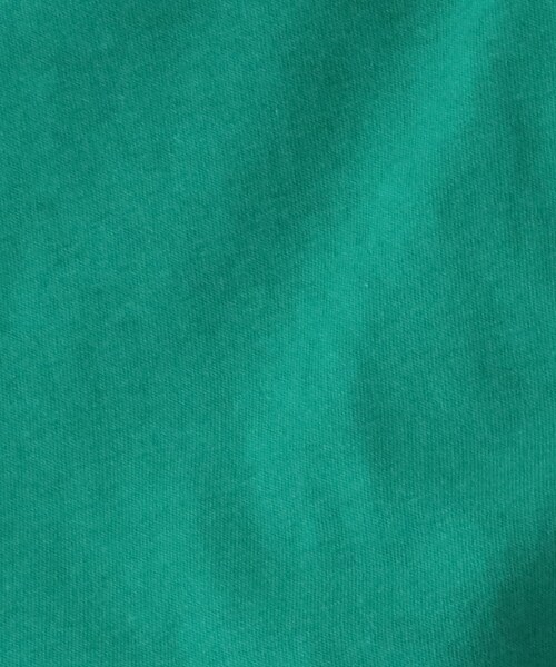OPAQUE.CLIP(オペークドットクリップ)の「◆オーガニックコットン強撚天竺 BASIC Tシャツ【WEB限定サイズ】(Tシャツ/カットソー・レディース・ホワイト系その他3/オレンジ/ブラック/ブラウン系その他/サンドベージュ/ブルー/ホワイト系/グリーン・42/36/40/38/34)」の17枚目の写真