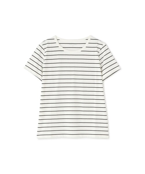 tシャツ オーガニック綿天竺半袖ボーダーＴシャツ レディース 半袖Tシャツボーダーオーガニック綿天竺 | human woman