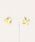 Burnerio[i[j́uyOKUOKU@0909z}`fUC C[Nbv CO  oku-earrings-g2iCOjvbF