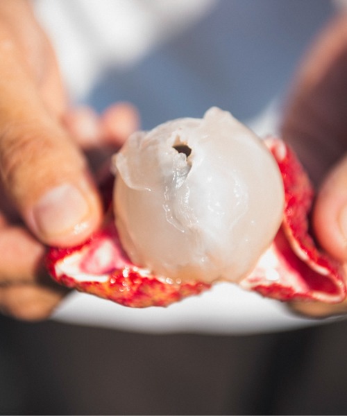 FERNANDA（フェルナンダ）の「フレグランスプレミアムハンドクリーム（ライチ）/Fragrance Premium Hand Cream (Lychee)（ハンドケア/ハンドクリーム・レディース・その他・FREE）」の4枚目の写真