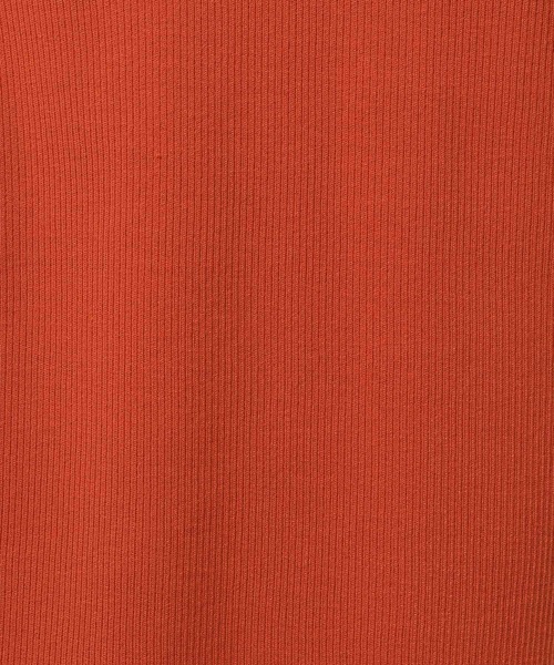 BAYFLOW（ベイフロー）の「[前後で着られる]2WAY半袖リブニット（ニット/セーター・レディース・テラコッタ/ブラック/オフホワイト・FREE）」の21枚目の写真