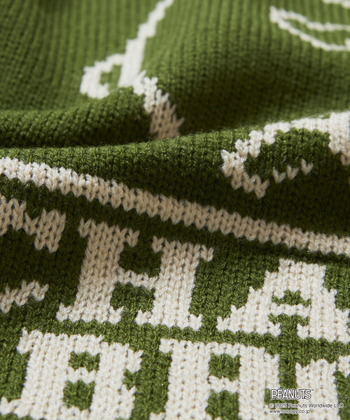 FREAK'S STORE（フリークスストア）の「限定展開 PEANUTS/ピーナッツ 別注 リラックスフィット ジャガード クルーネックニット / チャーリー・ブラウン（ニット/セーター・メンズ・ブラウン/ネイビー/ブラック/グリーン/グレー・LARGE/MEDIUM/SMALL）」の15枚目の写真