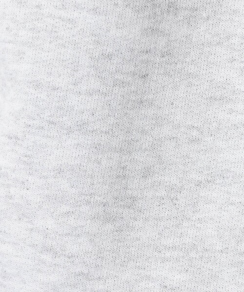 FRUIT OF THE LOOM(フルーツオブザルーム)の「【FRUIT OF THE LOOM/フルーツ・オブ・ザ・ルーム】PRINT HOOD8/プリントフーディー/ユニセックス【WEB限定】(パーカー・メンズ・ブラック/ホワイト/ワイン・XL/M/L)」の20枚目の写真