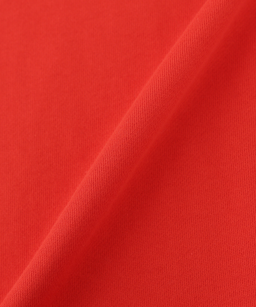 Champion(チャンピオン)の「ウォッシャブル / Champion / チャンピオン 別注 CREW NECK SWEAT(スウェット・レディース・チャコールグレー/ネイビー/レッド/ホワイト・FREE)」の7枚目の写真